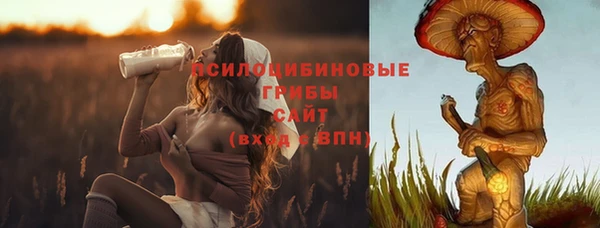 амфетамин Алексеевка